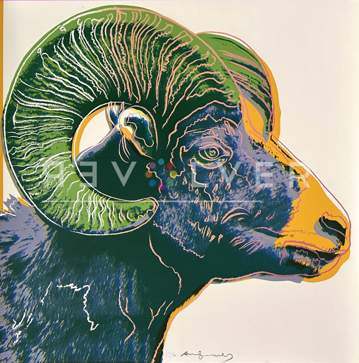 Bighorn Ram by Andy Warhol