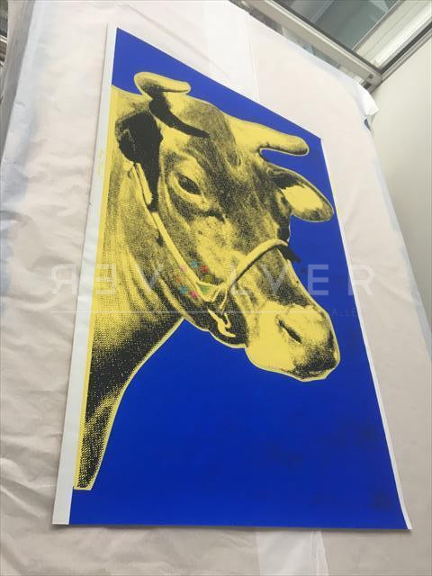 Cow 12 print out of frame