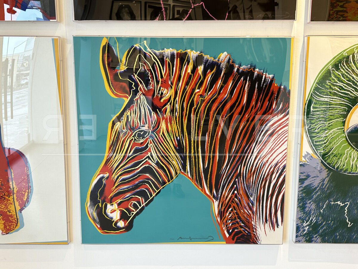 Grevy's Zebra by Andy Warhol