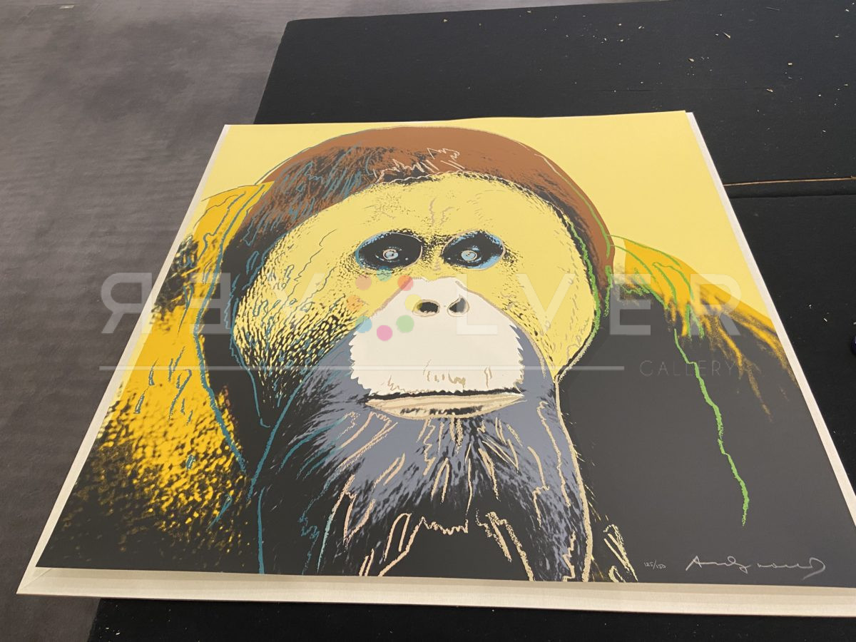 Orangutan 299 screenprint out of frame