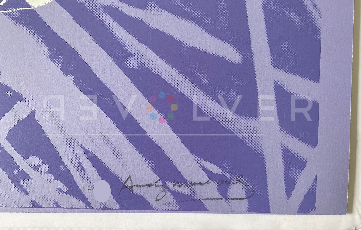 Close up of Andy Warhol's signature at the bottom of the San Francisco Silverspot 298 screenprint.