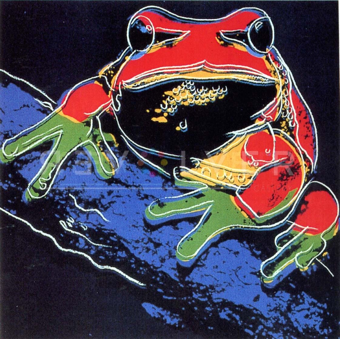 Andy Warhol - Pine Barrens Tree Frog F.S. II 294 jpg