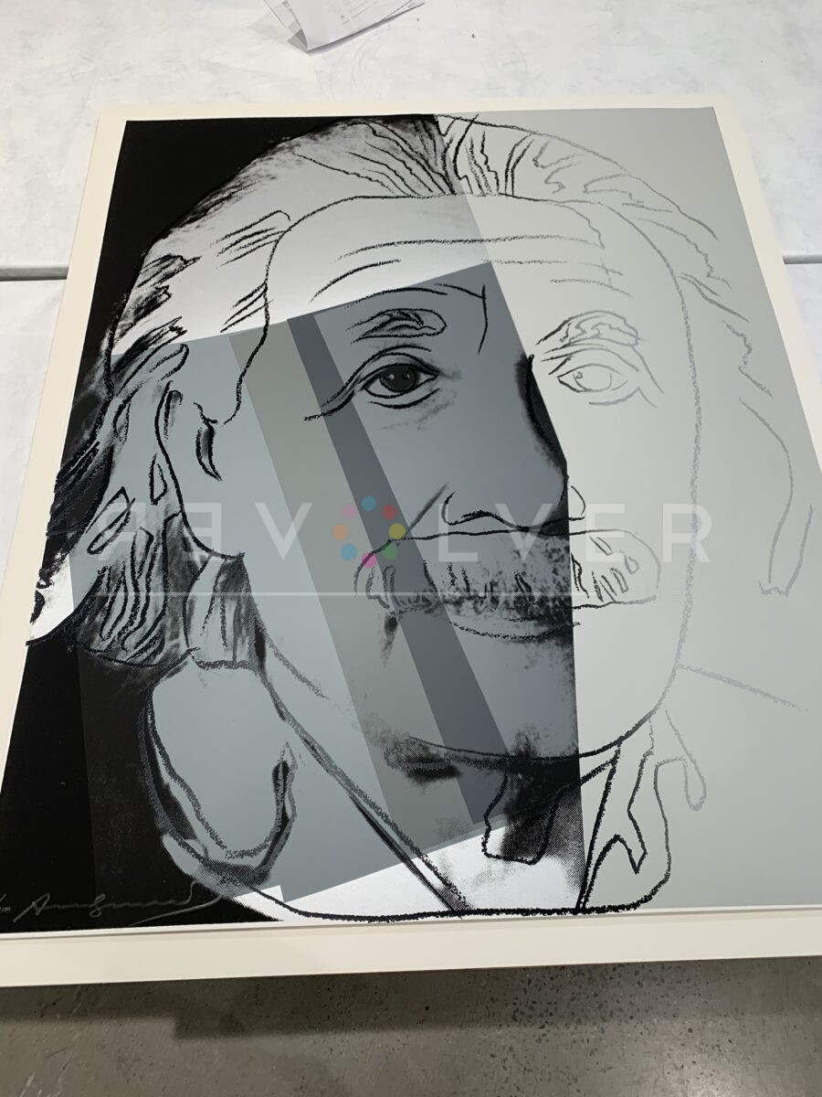 Albert Einstein by Andy Warhol out of frame