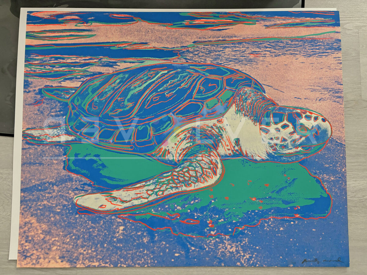 Turtle by Andy Warhol