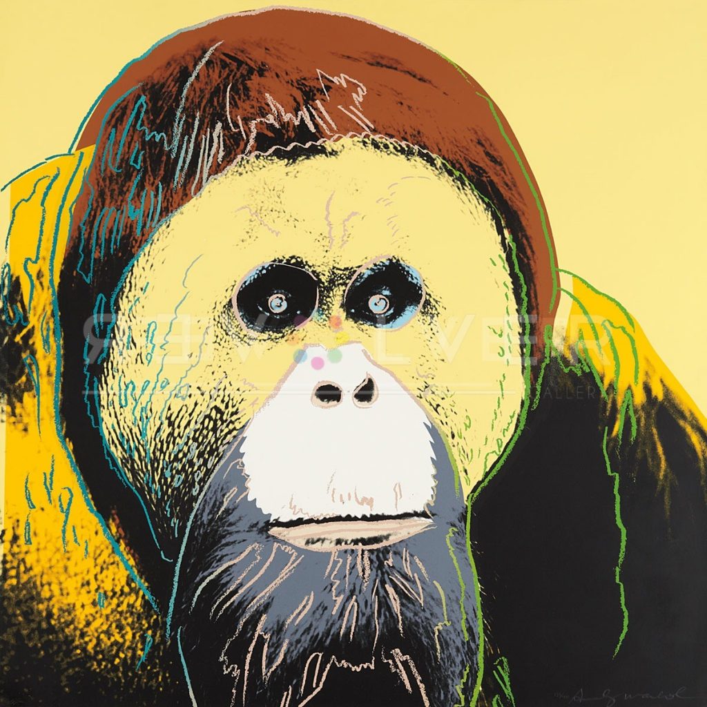 Andy Warhol - Orangutan F.S. II 299 jpg