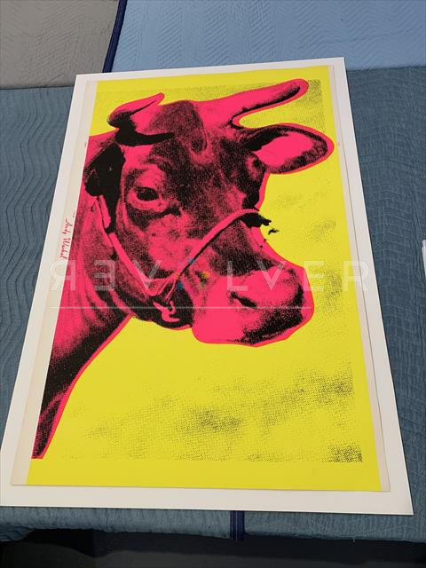 Cow 11 print out of frame