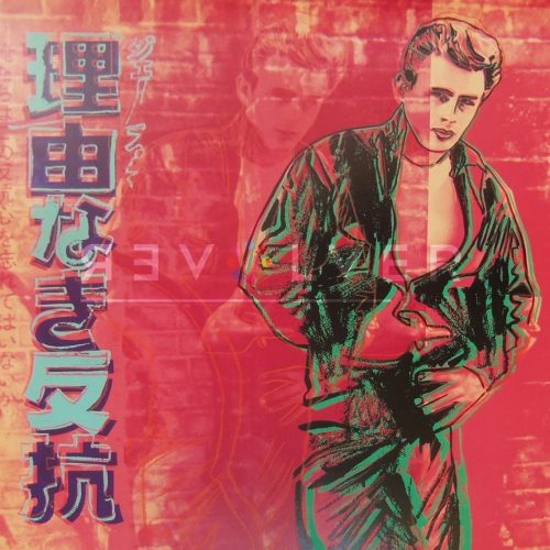 Andy Warhol Rebel Without a Cause 355