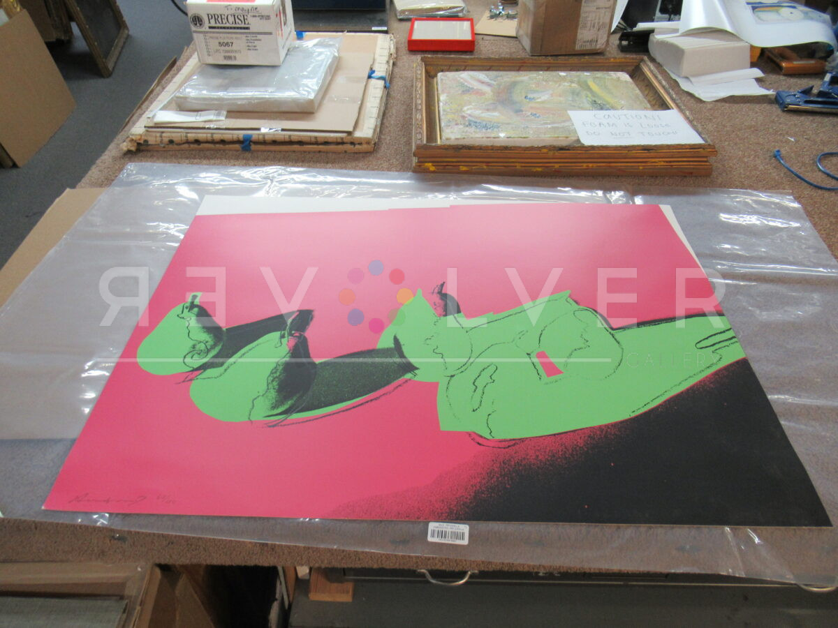 The Space Fruit Pears screen print by Andy Warhol out of the frame.