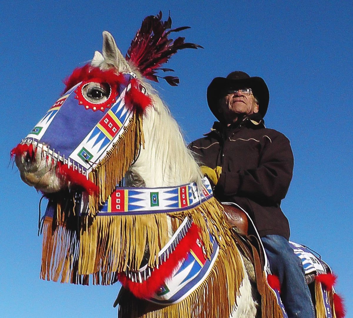 Still from Keith Braveheart's film, We Are A Horse Nation