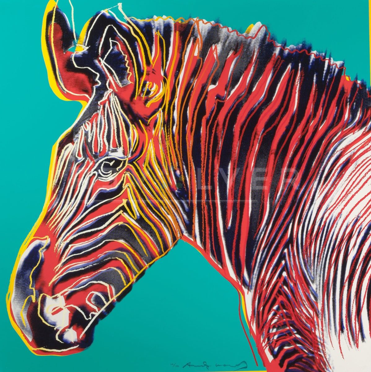 Andy Warhol - Grevys Zebra F.S. II 300 jpg