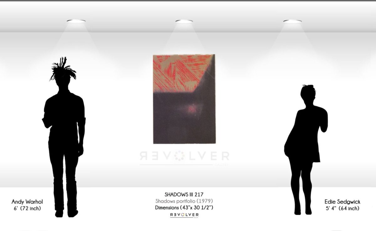Warhol Screenprint Shadows II 217 Wall Display