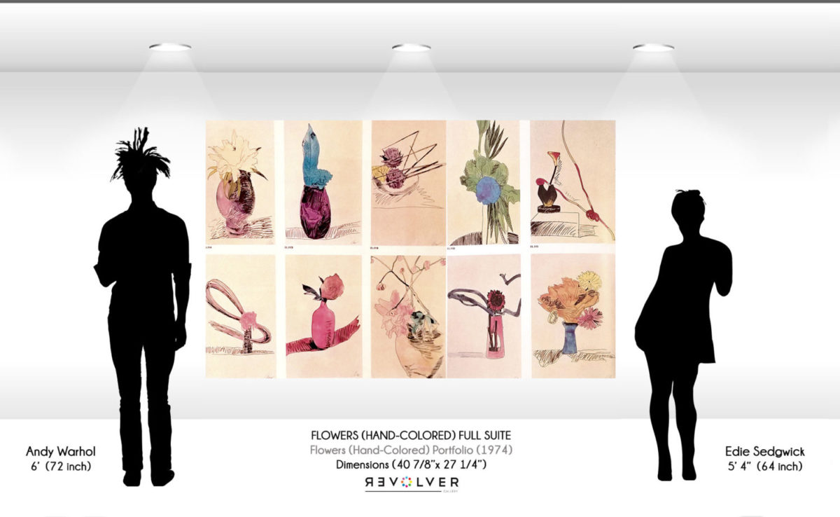 Wall display and size comparison for the hand-colored flowers complete portfolio.