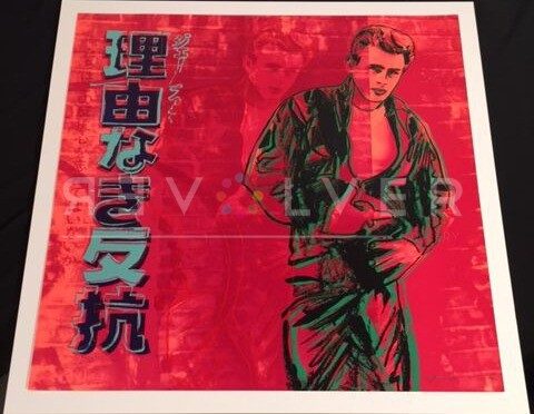 Rebel Without A Cause by Andy Warhol unframed