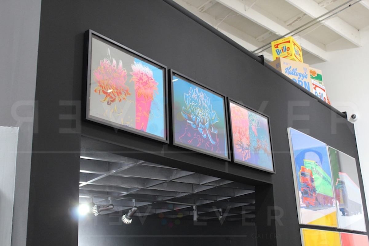 Andy Warhol's Kiku screenprints hanging on the wall.