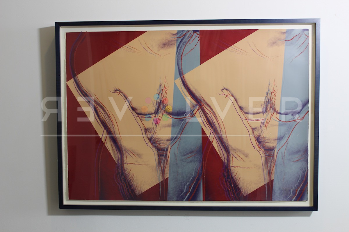 Andy Warhol - Torso jpg