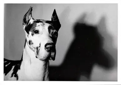 Warhol The Photographer: 7 Photographs and Portraits by Andy Warhol - Revolver Gallery