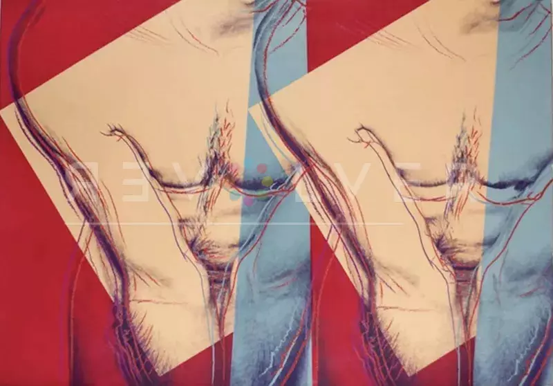 Presence and Absence: Andy Warhol's Sexual Identity as Seen in His Body of  Work - Revolver Gallery