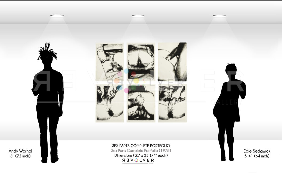 ize comparison image showing the size of the Sex Parts Complete Portfolio relative to the height of Warhol and Edie Sedgwick.
