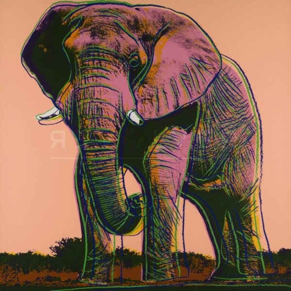 Andy Warhol - African Elephant F.S. II 293 jpg