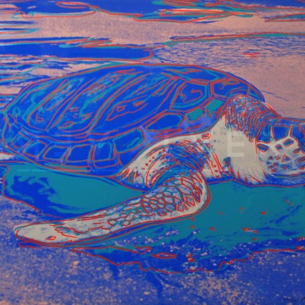 The Turtle print by Andy Warhol